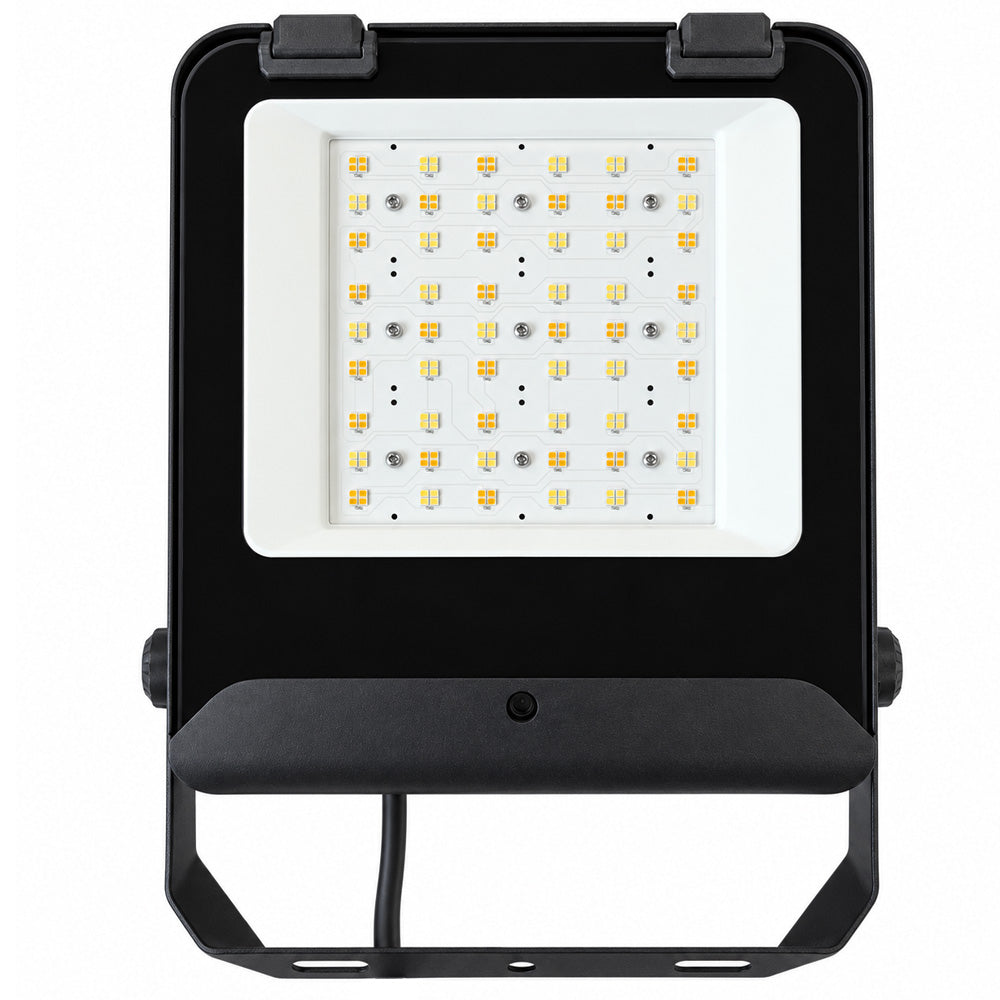 Core LED Floodlight 50W to 100W Front Photo
