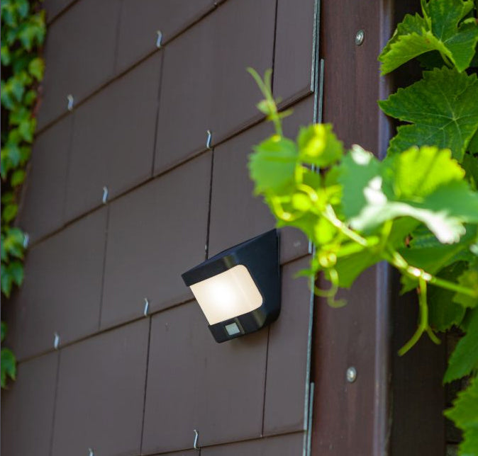 Nova 8W Solar Wall & Garden Studio Light with Motion Sensor