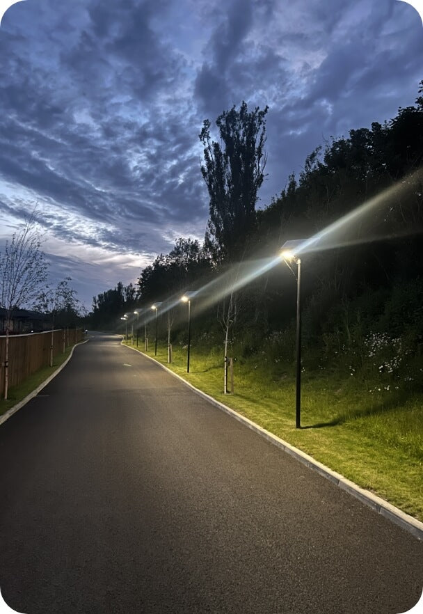 Solaris 360 Solar Street Light - 30W/60W/90W