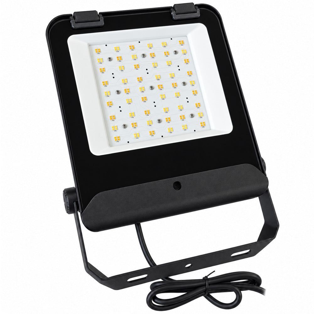 Core LED Floodlight 50W to 100W Profile Photo