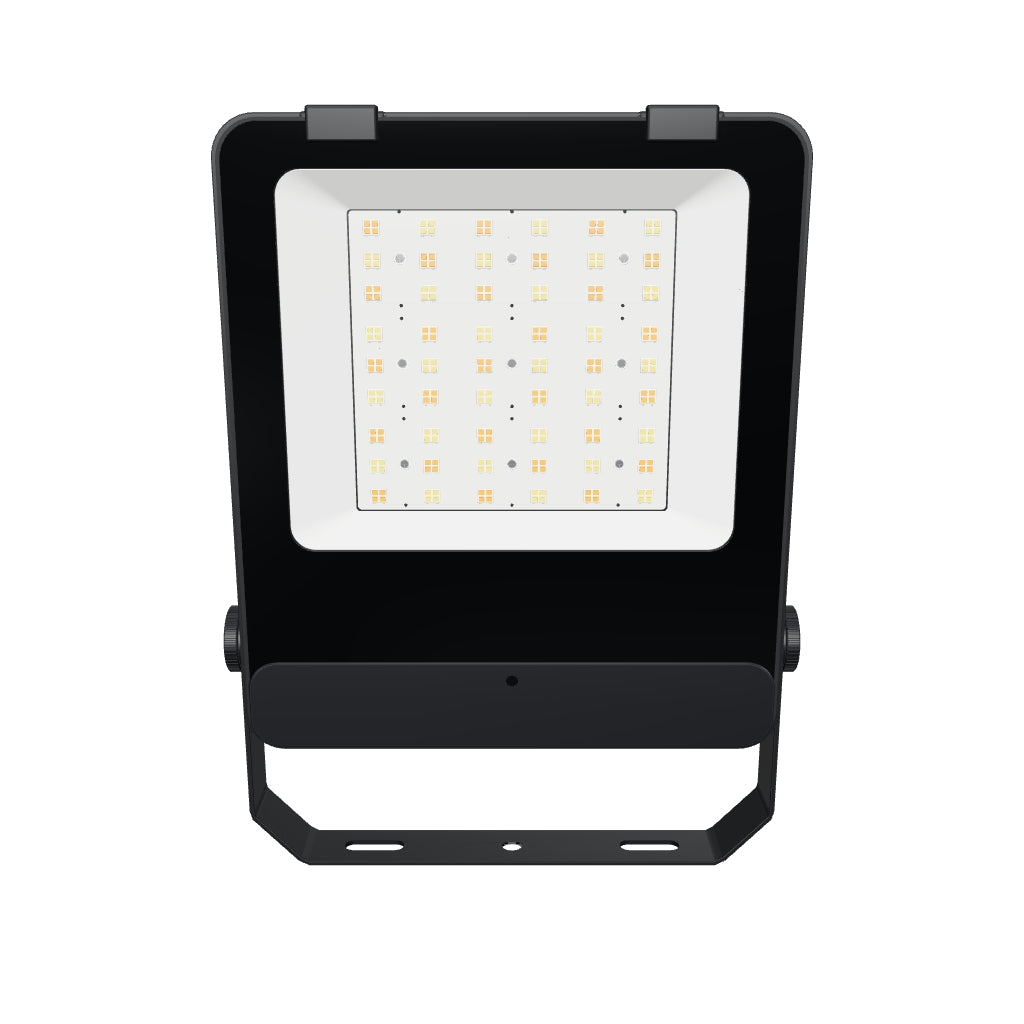 Core LED Floodlight 50-100W 3D Model